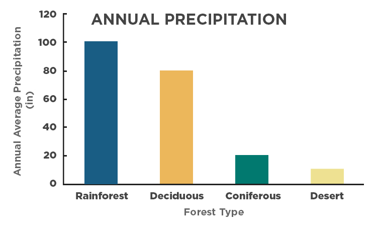 deciduous forest climate and weather