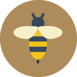 bee