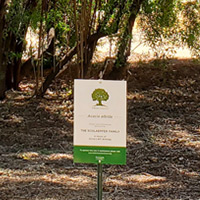 sponsor a tree sign