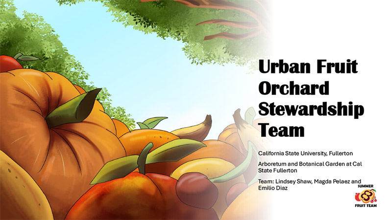 Fruit_Sum26_Website