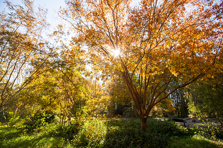 Arboretum SpookyTober