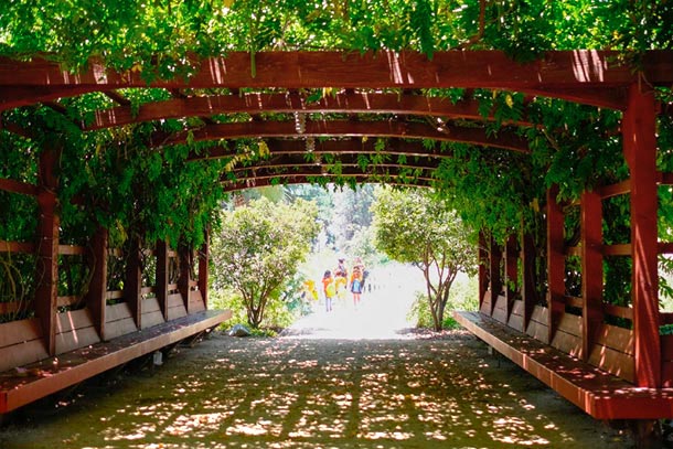 Arboretum arbor