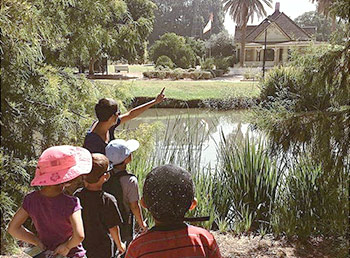 guided nature tours