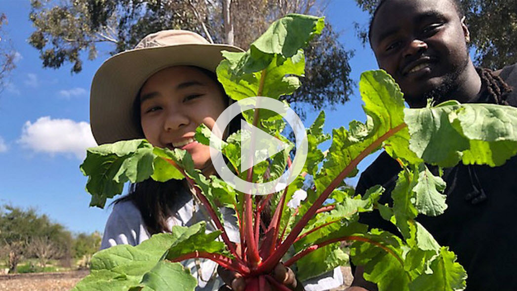 Cal State Fullerton's Arboretum Grows Next Gen Farmers