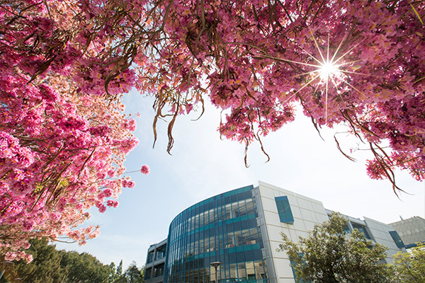 Spring - Open University | Extension And International Programs | Csuf