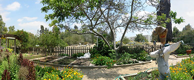 fullerton arboretum