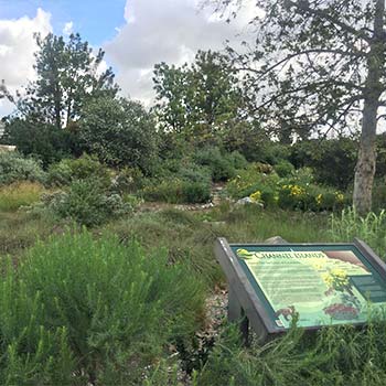 channel islands exhibit