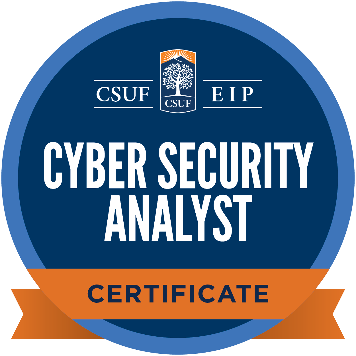 Digital Badge - Cyber Security: Security Analyst