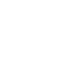 Left slide arrow