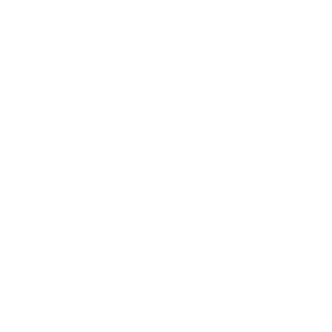 social media icon instagram
