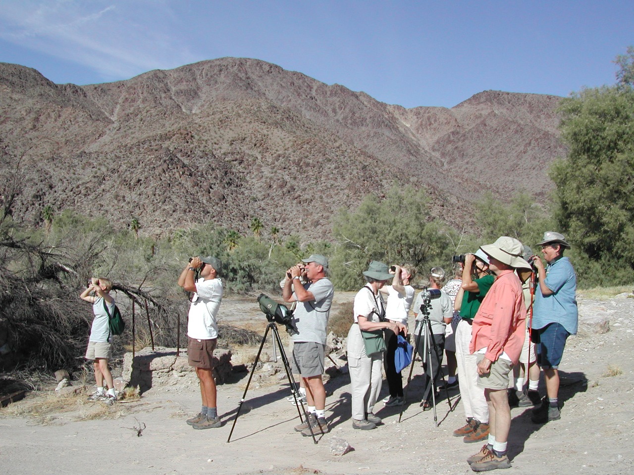 A group of birdwatchers looking through binoculars and spotting scopes against a rocky desert mountain background