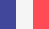 Small icon of French flag